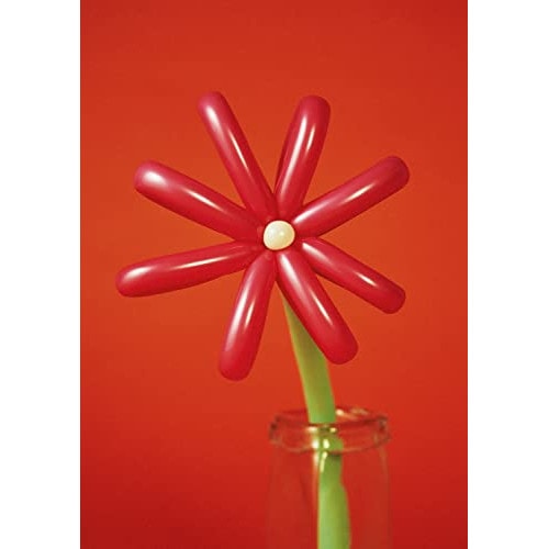 マカロニえんぴつ ／ MACAROCK’N LIVE-1(通常盤) (DVD) TFBQ-18256