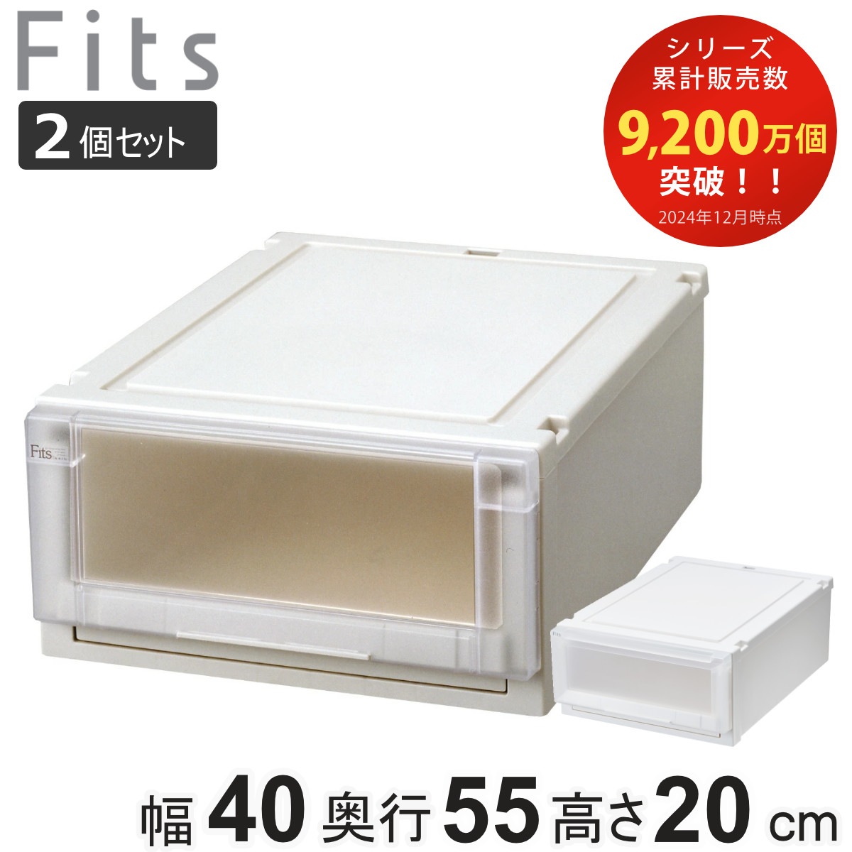 同色2個セット 収納ケース 幅40x奥行55x高さ20cm Fits フィッツケース アドバンス 4020 クローゼット 収納 収納ボックス 日本製 衣装ケース 衣類ケース 天馬 押入れ収納