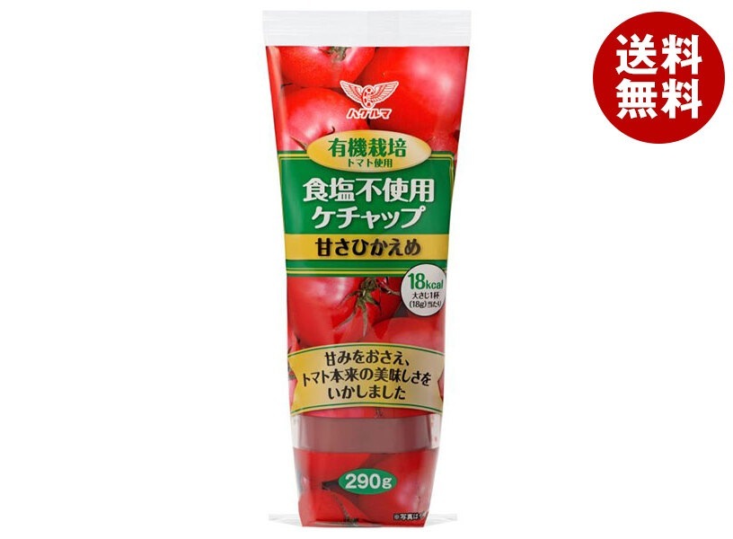 ハグルマ 有機栽培トマト使用 食塩不使用ケチャップ 290g＊20本入＊(2ケース)
