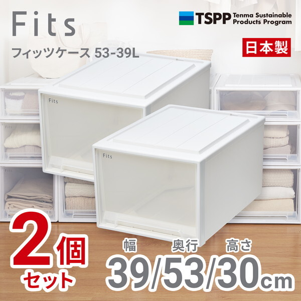 天馬(Tenma) フィッツケース 53-39L (箱仕様2個組) ホワイトクリア