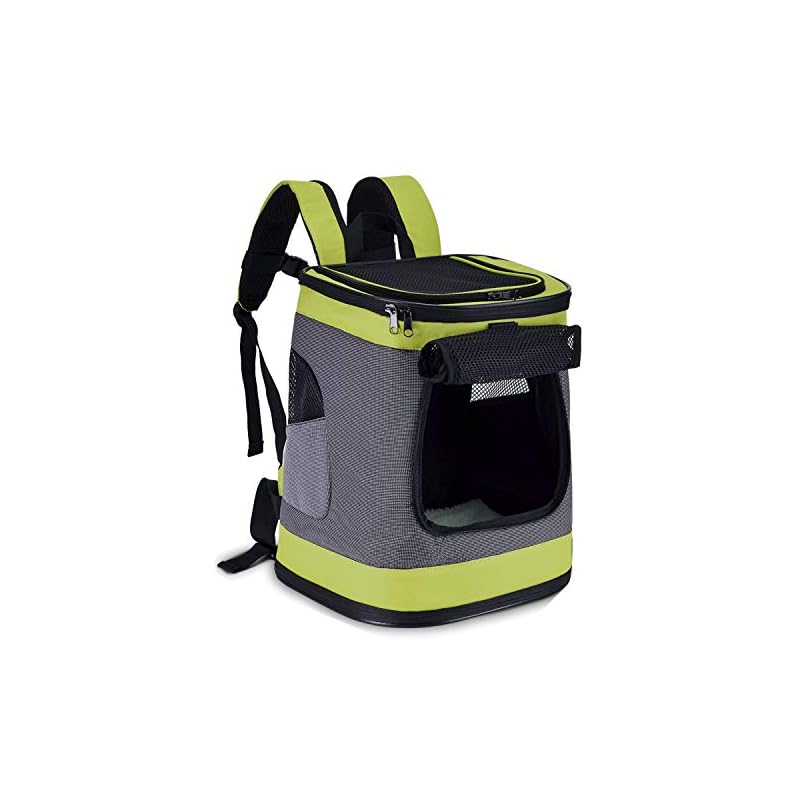 Pettom 猫 きゃりーバッグ リュック 犬 ペットキャリーリュック 猫リュック 可愛い 通気 ペットリュック 崩れないタイプ (グリーン)