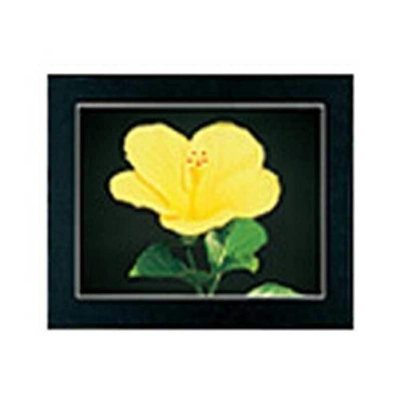 フジカラー　マットパネルDX (全紙ノートリ[135]) ブラック　マットパネルDX