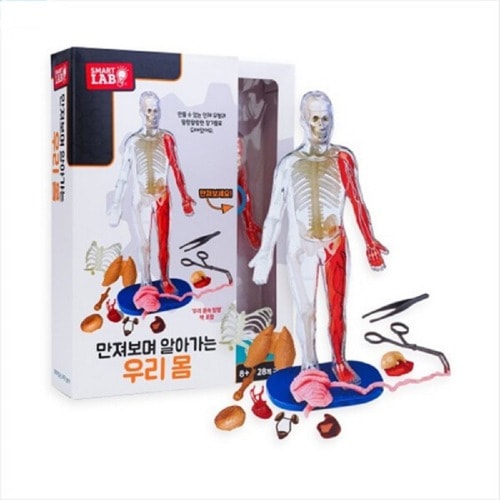 マランマラン STEAM 私たちの体学校学習教区団体 8,156円