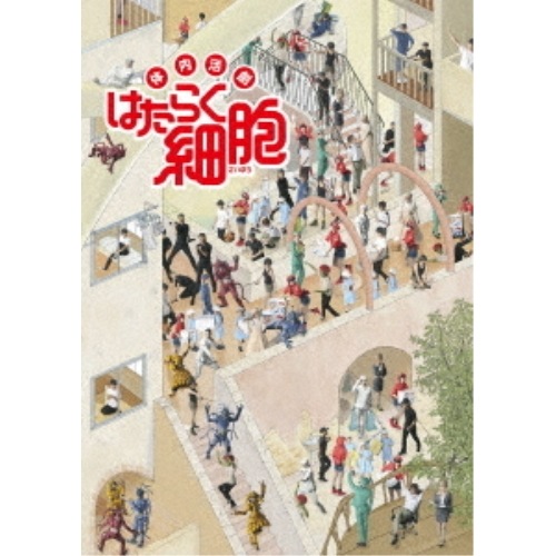 体内活劇「はたらく細胞」(完全生産限定版)(Blu-ray Disc) ／ 和田雅成/七木奏音 (Blu-ray) ANZX-10113