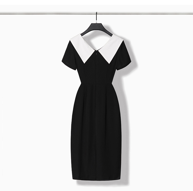 ワンピース 半袖 ビッグカラー 襟 ハイウエスト ウエストマーク 無地 ジップアップ ファスナー ドレス 春 夏 きれいめ シンプル フォーマル オケージョン デート お出かけ 女子会 着回し