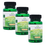 アセチルL-カルニチン500mg 240錠 2本　Swanson　Acetyl L-Carnitine スワンソン 日時指定不可 アセチルL-カルニチン、500mg、ベジカプセル240粒