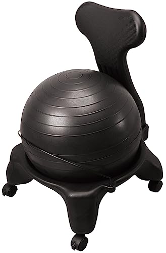 秦運動具工業 バランスボールチェア50cm ブラック DB120CB 20759