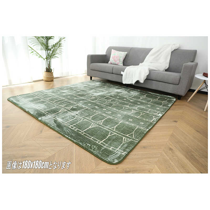 水野　短毛やわらかタッチ マイヤー プリントラグ GN