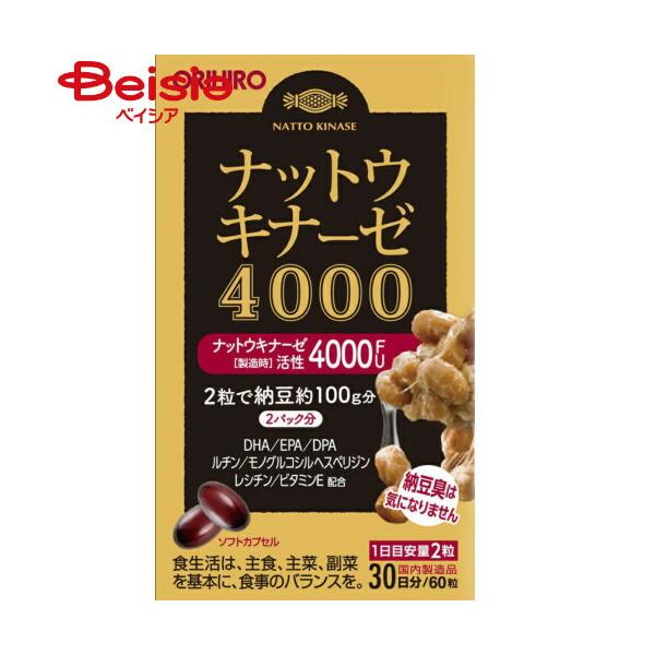 �i�b�g�E�L�i�[�[ 4000 60����