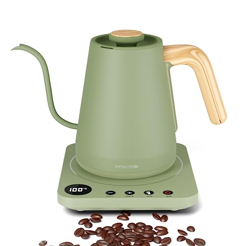 電気ケトル コーヒー HAGOOGI (ハゴオギ) ドリップケトル 1.0L 1200W コーヒーポ