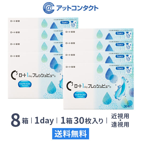 ロート ワンデーフレッシュビュー リッチモイスト 30枚 8箱