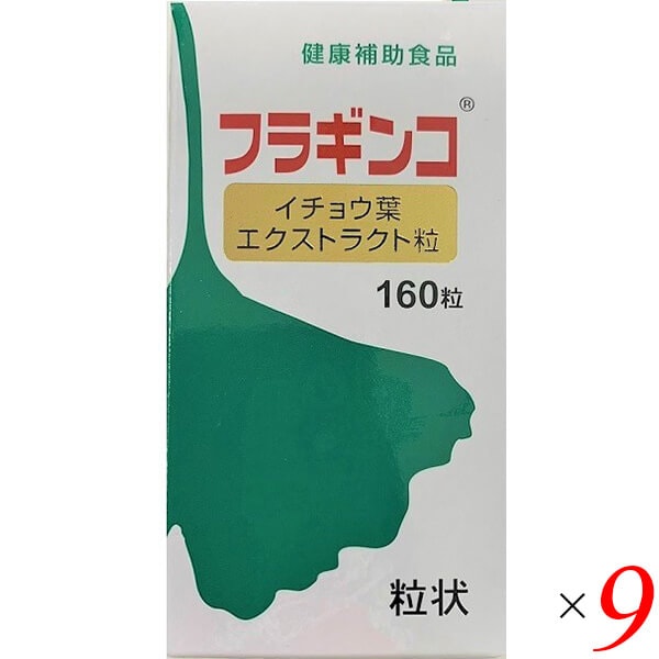 甲陽ケミカル フラギンコ イチョウ葉 エクストラクト粒 40g 9個セット