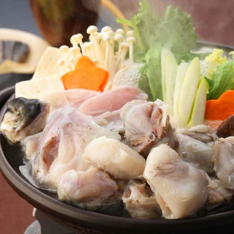大分豊後産 とらふぐ鍋セット B とらふぐ350gとらふぐひれ3枚餅3個 離島は配送不可 4660080 お歳暮 お中元 お土産 ご進物 ギフト 贈り物に最適