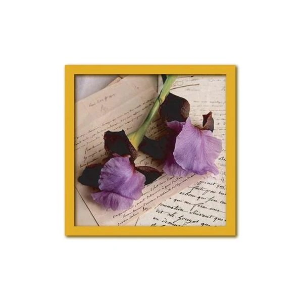 フォトアート アートパネル 32.5cm 正方形 天然木フレーム 情景写真 壁掛け モダン インテリア Two Irises 325x325mm