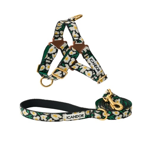 犬 ハーネスset ノプル ハーネス+ジェントル リッシュ ビッグフィッシュ /犬 服