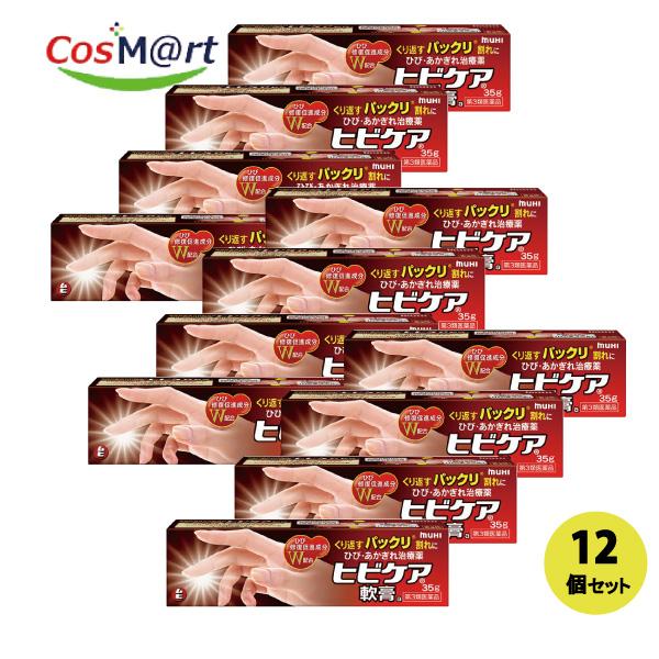 【12個セット】 【第3類医薬品】 【株式会社池田模範堂】ヒビケア軟膏ａ　35ｇ(4987426002183-12)