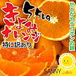 （オレンジジュース品薄対策に） 特に訳あり加工用 愛媛県産 清美オレンジ 5kg (+約0.5kg多めでお届け) デコポン や せとか を生んだ みかん界の革命児