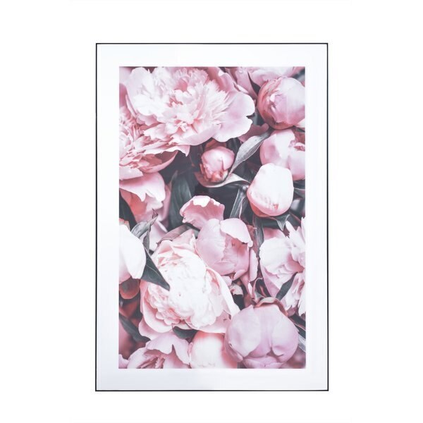 アートパネル W80H120cm C ナチュラル デコレーション ポスター タペストリー 絵画 写真 リビング ダイニング