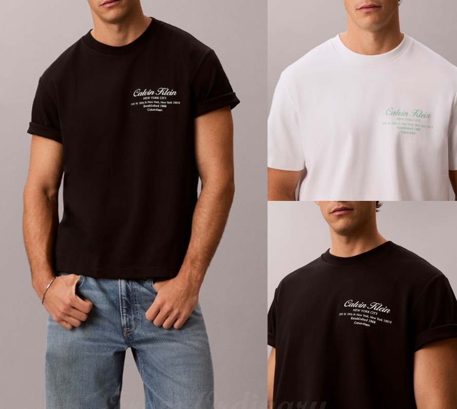 Mens Graphic T-Shirt (4RG247G)