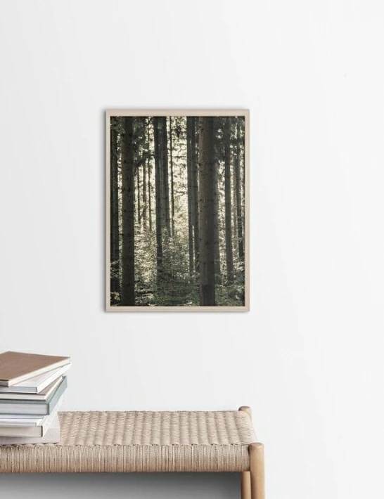 NOUROM PINE TREES アートプリント/ポスター (50x70cm)【北欧