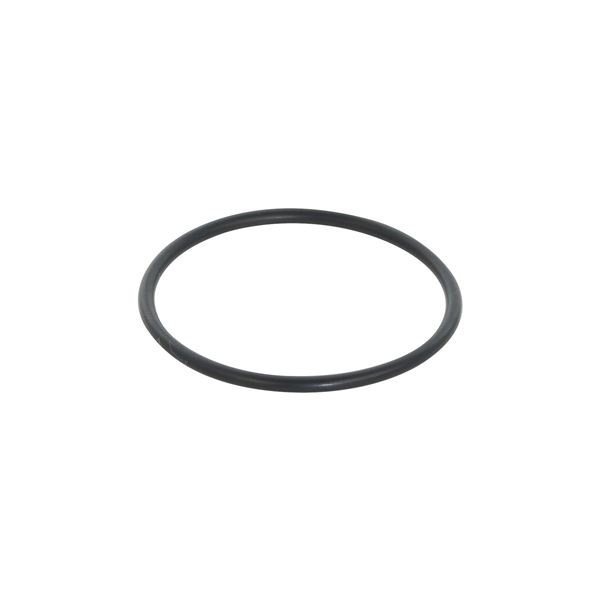 Oリング パーフロ CP-300型用 φ47 [054330-3100]
