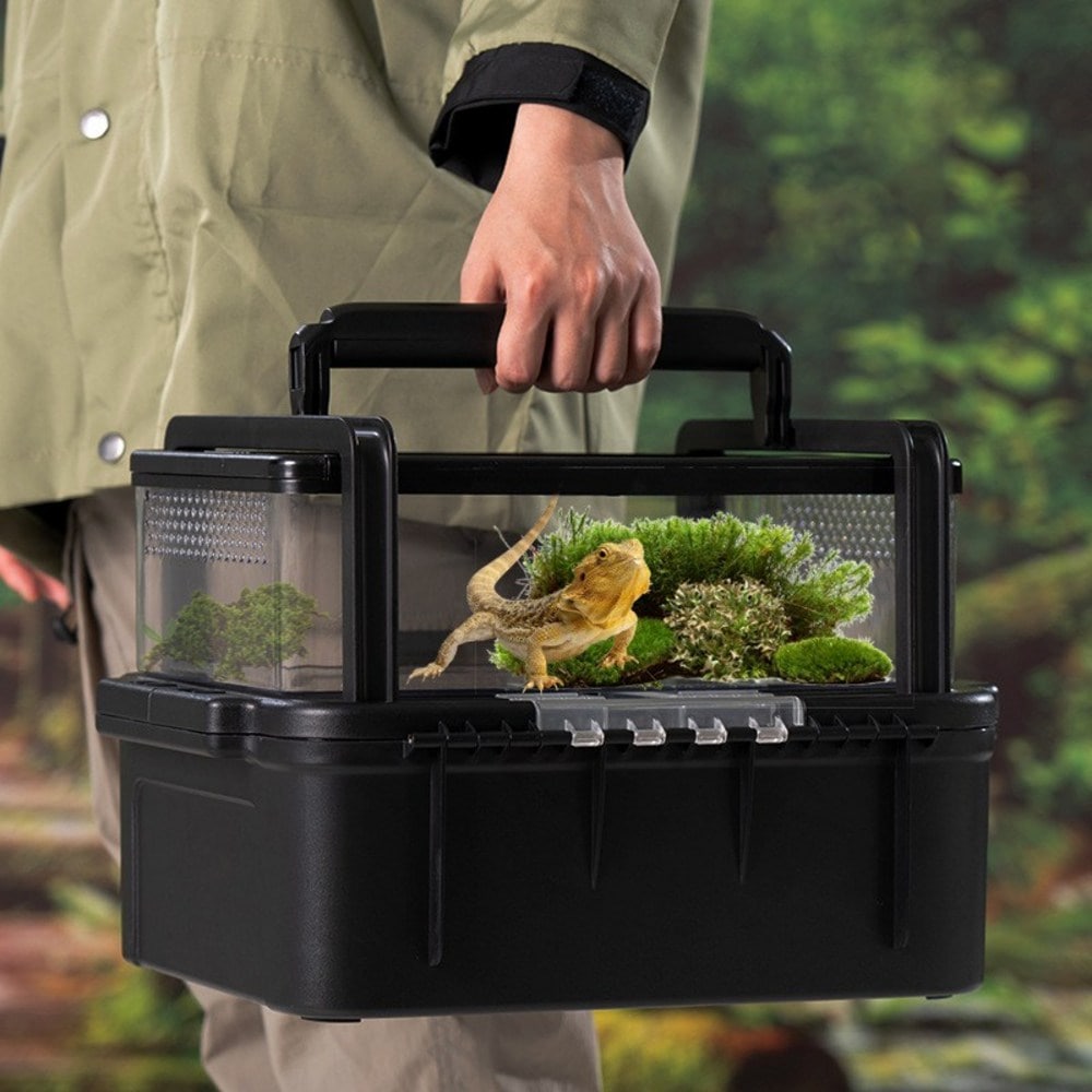 トカゲ爬虫類隠れ家セット