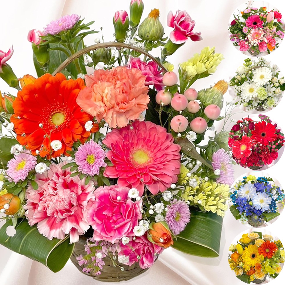 花 選べるカラー 母の日ギフト 生花 フラワーアレンジメント 母の日 おまかせ アレンジ プレゼント 花ギフト Lサイズ