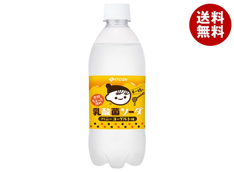 伊藤園 チー坊の乳酸菌ソーダ ハニーヨーグルト味 500mlPET＊24本入＊(2ケース)