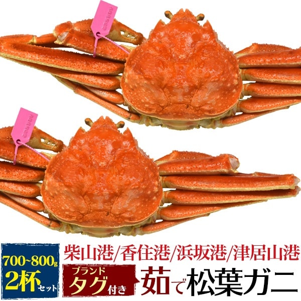 兵庫県産　冷蔵 釜茹で 極上 松葉ガニ 約700g-800g 2杯セット ボイル済み　ズワイガニ 姿　タグ付き　兵庫県ブランド産地水揚げ　産地直送　蟹 かに カニ 冬