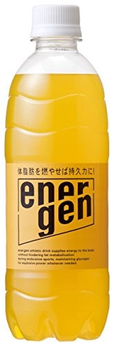 大塚製薬 ペットボトル 500ml×24本