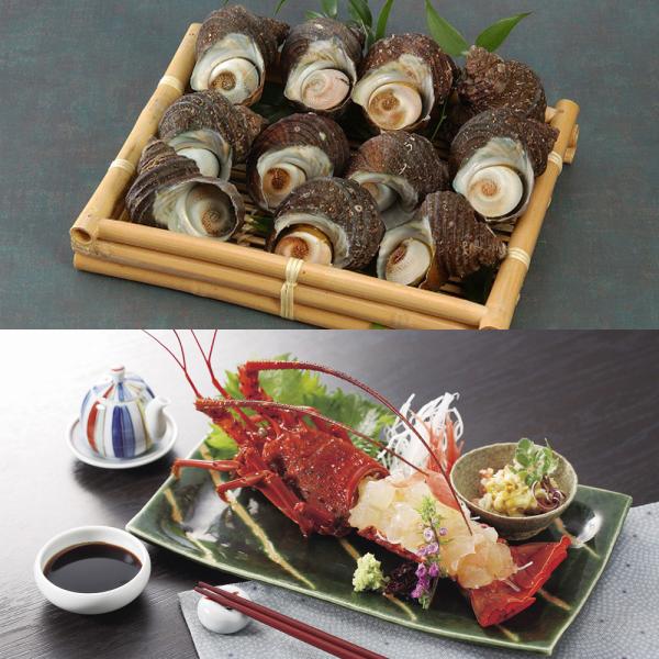 徳島 天然伊勢海老と天然サザエ詰合せ SISK