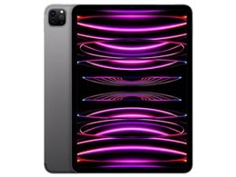 iPad Pro 11インチ 第4世代 Wi-Fi+Cellular 512GB 2022年秋モデル MNYG3J/A SIMフリー [スペースグレイ]