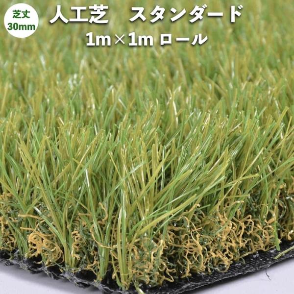 高級人工芝 pavo スタンダード30 幅1m長さ1mロール 芝丈30mm お庭 グリーン 庭 ベランダ テラス ガーデン