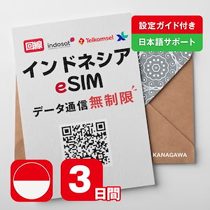 【インドネシアeSIM】3日間(72時間) データ通信無制限 オンラインサービスにて即日送信(LINE相談受付中) 有効期限 / ご購入日より90日以内 インドネシアSIM