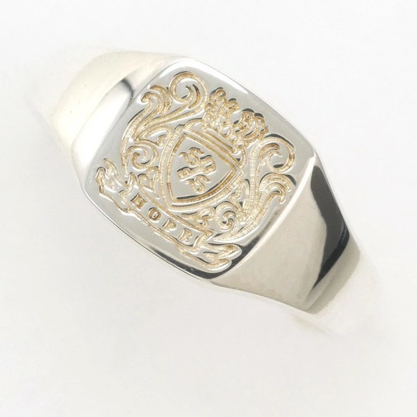 シンパシーオブソウル シルバー リング 指輪 11.5号 袋 証明書 ジュエリー 中古