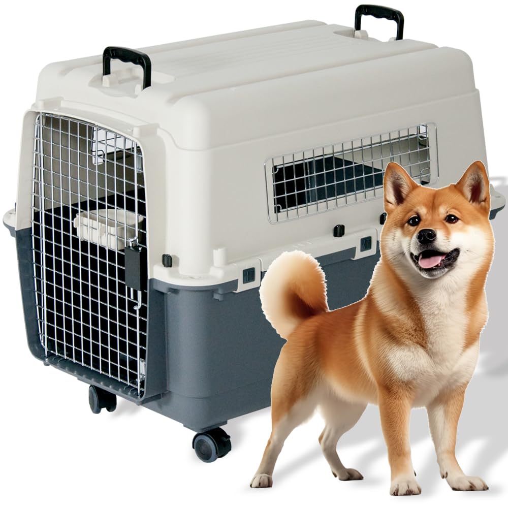 プチリュバン ペットキャリー キャスター付き DX80 中型犬用 大型犬用 IATA基準クリア クレート 20kgまで XLサイズ 奥行き80 x 幅56.5 x 高さ58.5cm 犬