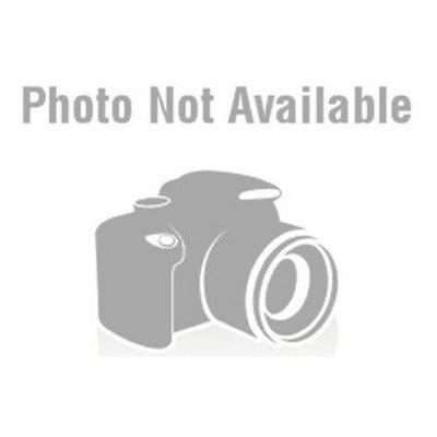 他サイト： RK CHAIN STD RK420MS110Lの商品画像