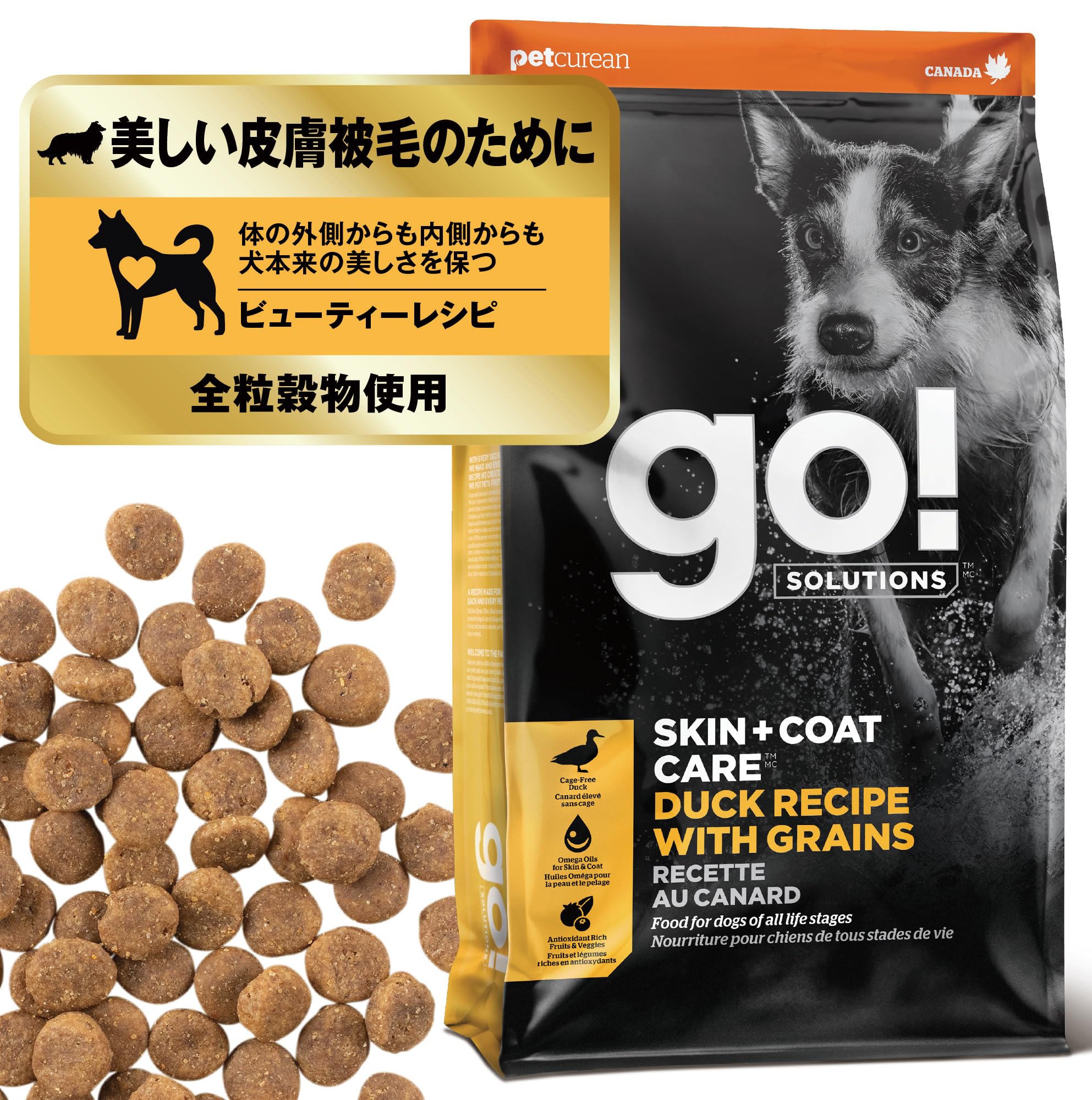 【毛並みのお悩みに】GO! SOLUTIONS 皮膚+被毛ケア ドッグフード 2.3kg ダック 全粒穀物 玄米 フルーツ 全年齢 全犬種 [ゴーソリューションズ]