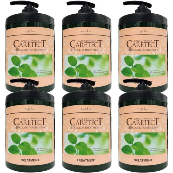 ナプラ ケアテクト HB カラー トリートメント V ハリ・コシタイプ 650g 6個セット