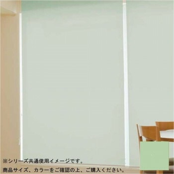 タチカワ ファーステージ 遮熱ロールスクリーン ダークブラウン 幅165x高さ180cm プルコード式 TR-1038 マスカット