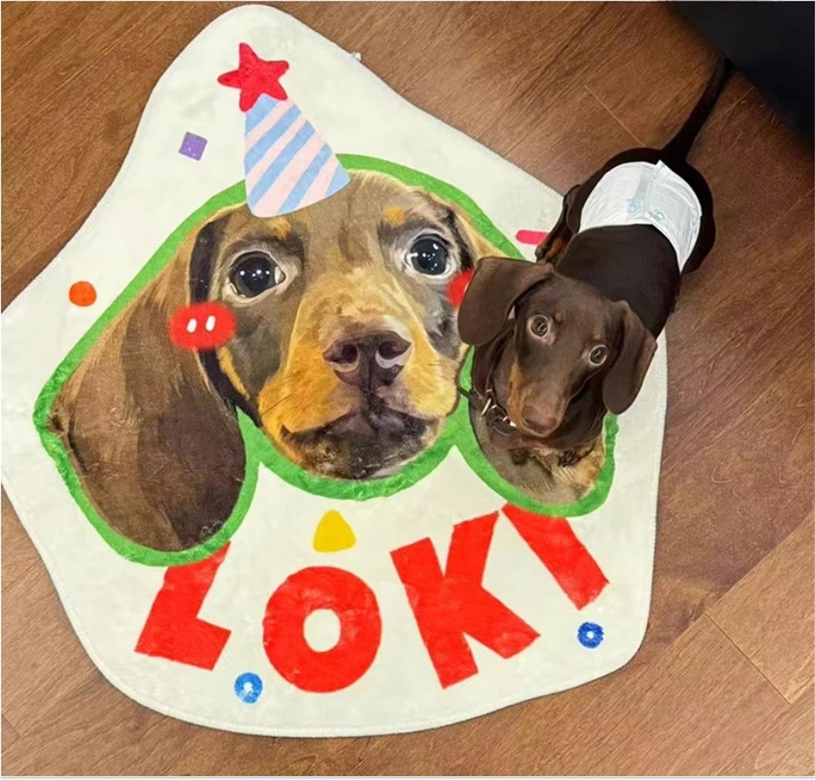 ペットラグ オーダーメイド 犬猫 メモリアル用品 写真入り 名前入り オリジナル おしゃれ プレゼント 滑り止め ラグマット 洗える インテリア