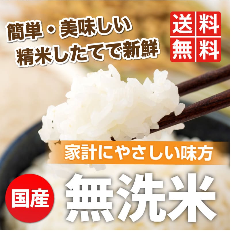 無洗米 10kg 国産ブレンド米 全国複数原料米