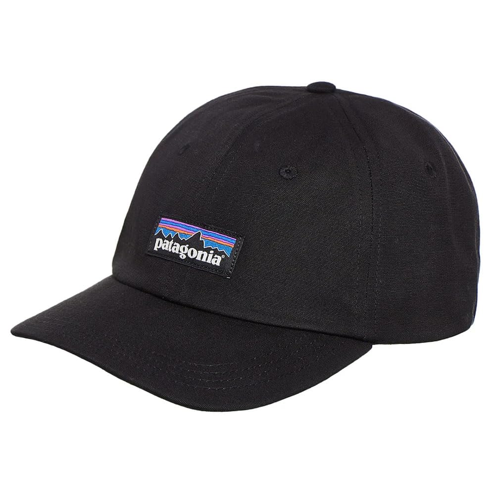 [パタゴニア] キャップ 6パネルキャップ メンズ PATAGONIA patagonia002 [並行輸入品]