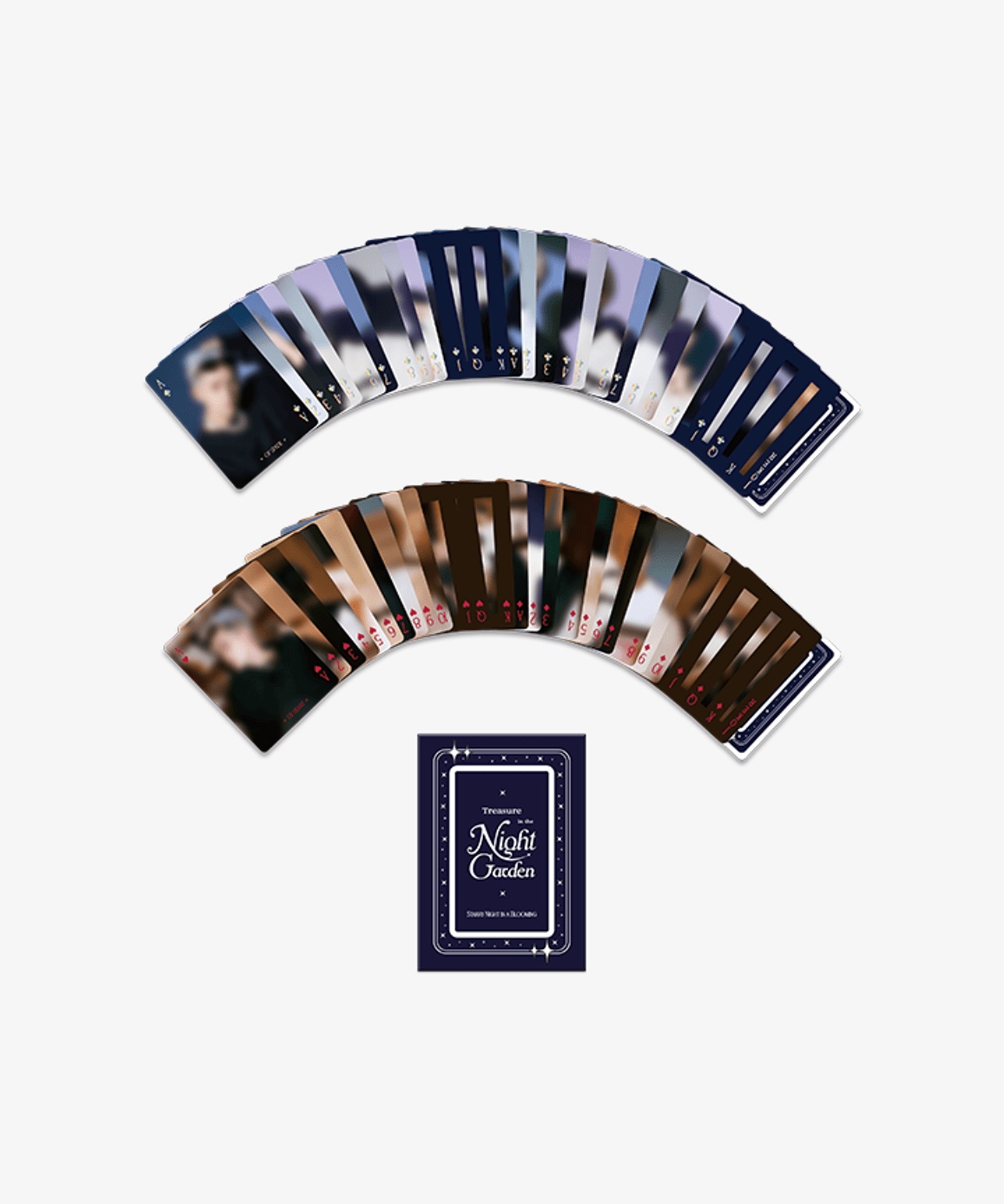 [NIGHTGARDEN] TREASURE OFFICIAL PLAYING CARD