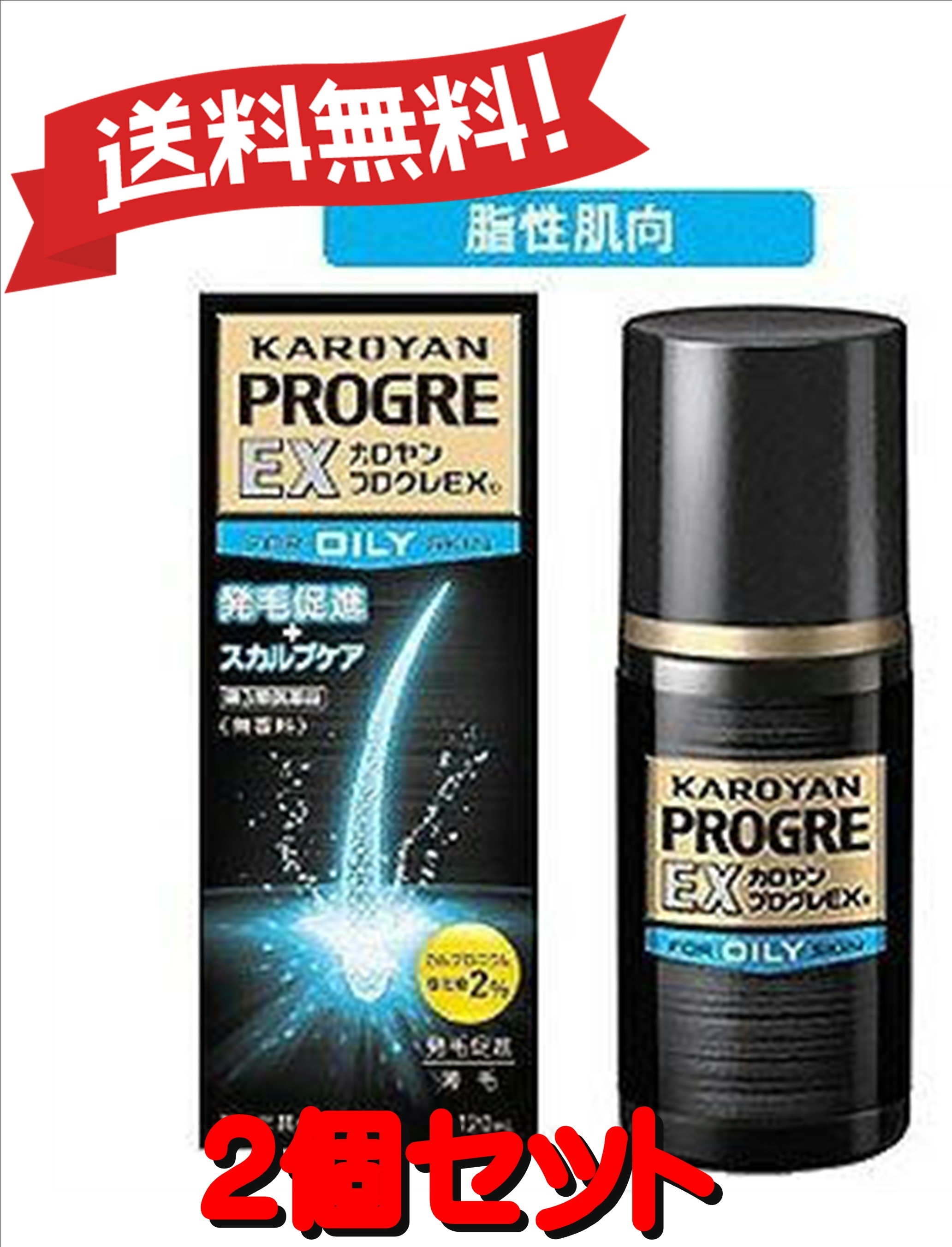 【送料無料 2個セット】【第3類医薬品】カロヤン プログレEX O 120mL 4987107616739-2