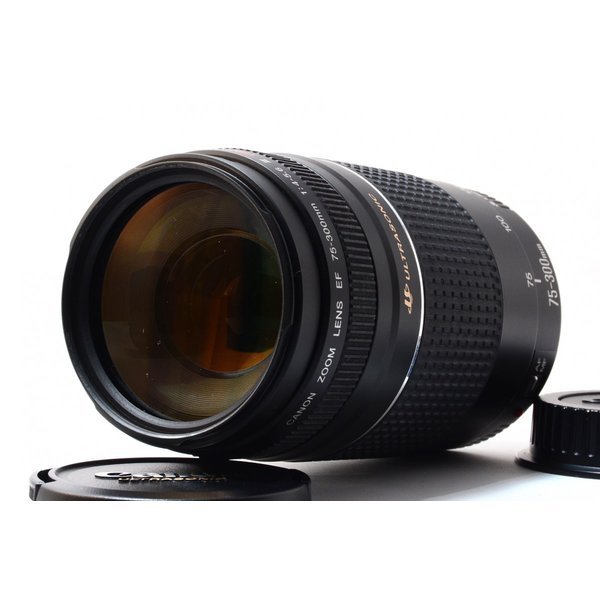 【中古】キヤノン Canon EF 75-300mm f/4-5.6 USM III 美品 EFマウント 望遠ズーム 前後キャップ付き