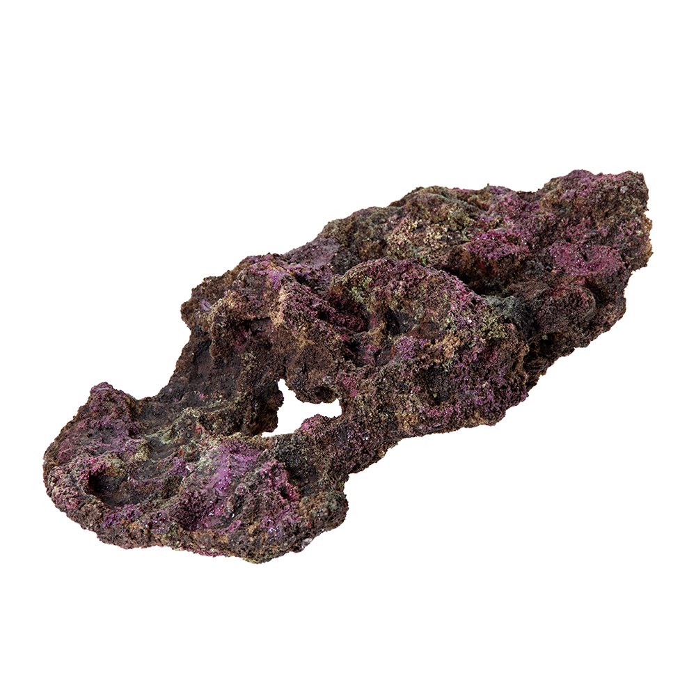 ＯＲＣＡ　ＯＣＥＡＮ　ＲＯＣＫ　６　２９X１８X１２ｃｍ　ライブロックレプリカ　ＣＲＣ10―35―90―30―00