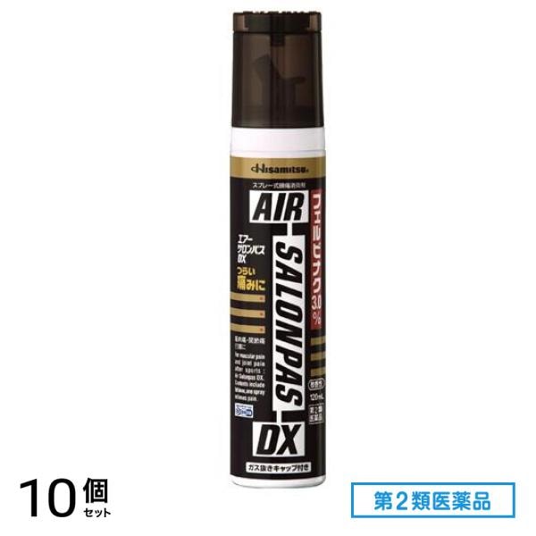 第２類医薬品 エアーサロンパスDX 120mL 10個セット