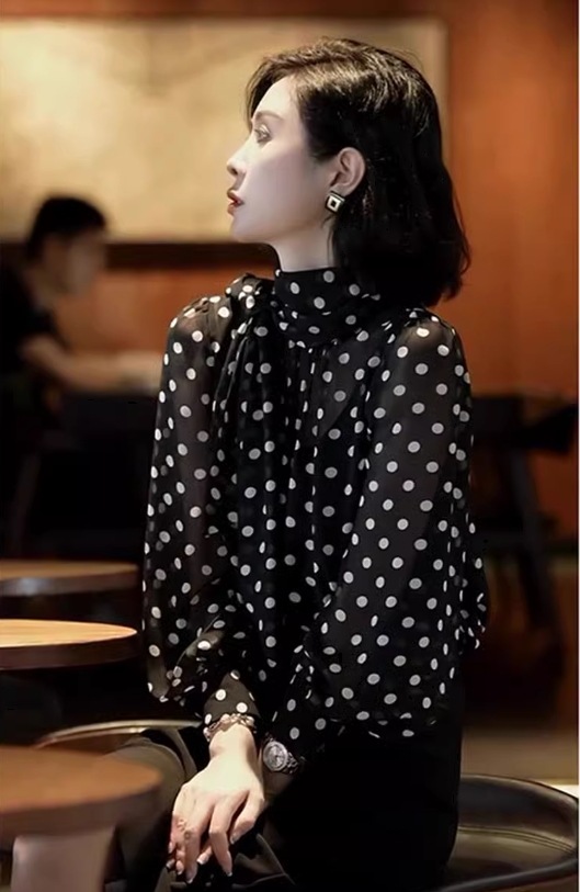 シフォン ドット ブラウス シアー ハイネック 春秋 レディース トップス シャツ ブラウス かわいい 大人可愛い きれいめ シンプル カジュアル 上品 こなれ感 ラフ メンズライク 主役級 存在感