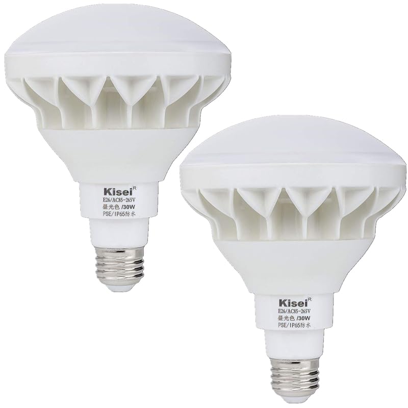 LEDビーム電球 IP65防水 超明るいタイプ 長寿命設計 140広角 バラストレス水銀灯 レフランプの代替品 野外看板照明 ３年保証 (30W-E26口金, 昼光色ー2個入り)
